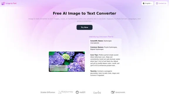 免费 AI 图像转文本转换器 - 快速且高度准确
